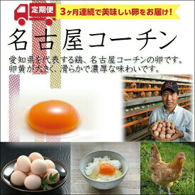 【ふるさと納税】定期便 卵 90個 ( 3回 × 30個 ) たまご | 名古屋コーチン 純系 玉子 3ヶ月 お楽しみ 人気 高評価 食品 鶏卵 卵かけご飯 朝食 コロナ 緊急 支援 鶏 地鶏 グルメ お取り寄せ 愛知県 大府市