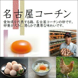 【ふるさと納税】純系 名古屋コーチン 卵 30個 たまご 玉子 日本三大地鶏 コロナ 緊急 支援 鶏 地鶏 料理 おうち時間 グルメ お取り寄せ ギフト 贈答 愛知県 大府市 | 卵 玉子 名古屋コーチン たまご 食品 愛知 おすすめ 人気