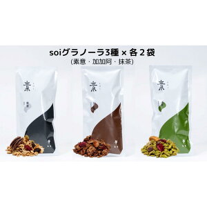 【ふるさと納税】soi グラノーラ3種×各2袋(素意・加加阿・抹茶) | ノベルティ プレゼント ギフト グルテンフリー 保存料不使用 酸化防止剤不使用 朝食 おやつ 間食 タンパク質 たんぱく質
