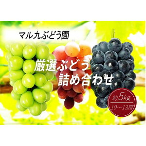 yӂ邳Ɣ[Łzy2026Nx_s\zyƒpzԂǂHה׃Zbg 5kgk2026N8{菇l | Ԃǂ t[c ʕ  Hi lC  