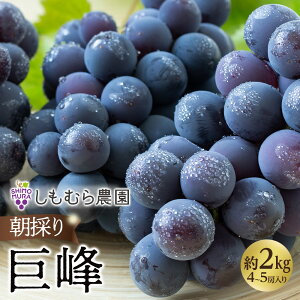 yӂ邳Ɣ[Łz2026N7{菇̂苐i4`5[j | s \ ̂ Ԃǂ  ʕ  t[c Ԍ ʌ  O lC  m