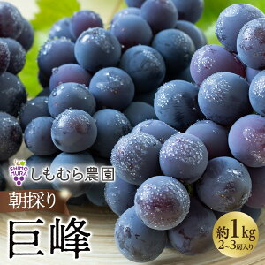 yӂ邳Ɣ[Łz2026N7{菇̂苐i2`3[j | s \ ̂ Ԃǂ  ʕ t[c Ԍ ʌ  O m {s