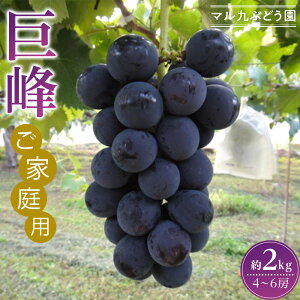 yӂ邳Ɣ[Łzy2026Nx_s\zyƒpzi킠j2kgk2026N8{菇l | m {s Yi Ԃǂ x Z lC  ƒp s\ ʌ