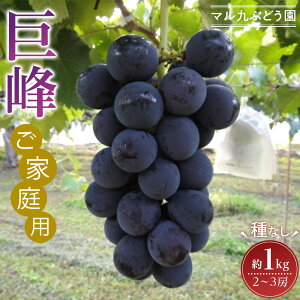 yӂ邳Ɣ[Łzy2026Nx_s\zyƒpziȂj1kgk2026N8{菇l | Ԃǂ t[c ʕ  Hi lC  