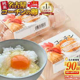 【ふるさと納税】定期便 卵 90個 ( 3回 × 30個 ) たまご | 名古屋コーチン 純系 玉子 3ヶ月 お楽しみ 人気 高評価 食品 鶏卵 卵かけご飯 朝食 コロナ 緊急 支援 鶏 地鶏 グルメ お取り寄せ 愛知県 大府市