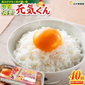 【ふるさと納税】花井養鶏場 定番の味 卵 40個 玉子 野菜 たまご 元気くん コロナ 緊急 支援 鶏 料理 おうち時間 グルメ お取り寄せ ギフト 贈答 お試し 愛知県 大府市 | 卵 玉子 たまご げんきくん 食品 愛知県 大府市 人気 おすすめ