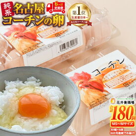 【ふるさと納税】【6か月定期便】日本三大地鶏！！ 「純系　名古屋コーチンの卵」（30個） 本当に美味しい食べ物は調味料の味に負けません！ | 卵 玉子 たまご 名古屋コーチン 頒布会 定期便 食品 愛知県 大府市 人気 おすすめ