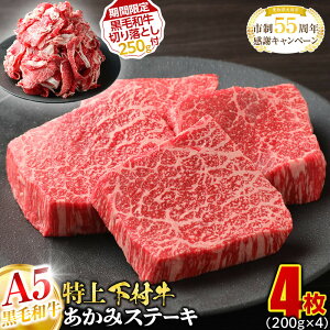 yӂ邳Ɣ[ŁzyԌz{YA5јa゠݃Xe[L@4800g { ؂藎Ƃ250gt |  a   Ԑg Xe[L ؂藎Ƃ {s   Hi Mt