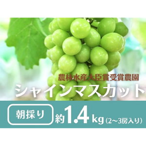 yӂ邳Ɣ[Łzys\2026N8z{sY@VC}XJbg1.4kg(2`3[j | t[c ʕ  Hi lC  