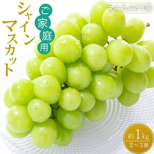 yӂ邳Ɣ[Łzy2026Nx_s\zyƒpzVC}XJbg 1kgk2026N8{菇l | Ԃǂ t[c ʕ  Hi lC  