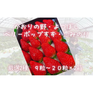 yӂ邳Ɣ[Łzs\EʌI ̂ꂽĊnyEڂEx[|bvÊ݂z 9`20×2 | ʕ t[c  C`S  Hi { Gߌ 