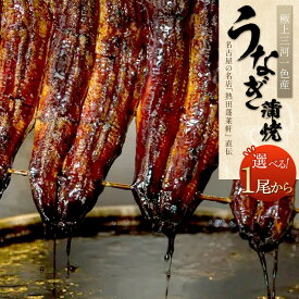 【ふるさと納税】【極上三河一色産】うなぎ蒲焼 （名古屋の名店「熱田蓬莱軒」 直伝） | 鰻 国産 蒲焼き かばやき ギフト グルメ 魚 さかな お取り寄せ セット 詰合せ プレゼント 愛知県 大府市
