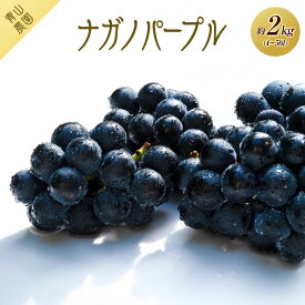 【ふるさと納税】【先行予約】【数量限定】ナガノパープル 約2kg 〔2026年8月上旬より順次発送〕 | フルーツ 果物 くだもの ぶどう ブドウ セット 食品 人気 おすすめ 送料無料