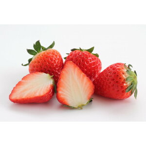 �y�ӂ邳�Ɣ[�Łz�������͔|�@�������@�y�H�ה�ׁz�@�͂�Ёi1pac) x�@��߂̂�(1pac)�y2025�N12���`2026�N4�����܂ł��͂��z