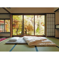 楽天市場】エアウィーヴ セミダブル（敷布団｜寝具）：インテリア 