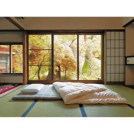 【ふるさと納税】エアウィーヴ 四季布団 シングル セミダブル ダブル シングルロング 耐熱強化モデル | 敷き布団 敷布団 敷布とん 敷ふとん マットレス 高反発 高反発マットレス 洗える エアウィーブ