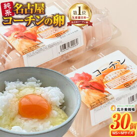 【ふるさと納税】純系 名古屋コーチン 卵 30個 たまご 玉子 日本三大地鶏 鶏 地鶏 料理 生活応援 グルメ お取り寄せ ギフト 贈答 愛知県 大府市 | 卵 玉子 名古屋コーチン たまご 食品 愛知 おすすめ 人気