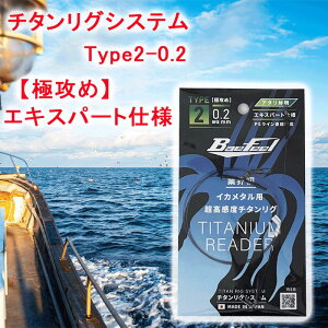 yӂ邳Ɣ[Łz`^OVXe@Type2-0.2@yɍU߁zGLXp[gdlg쏊