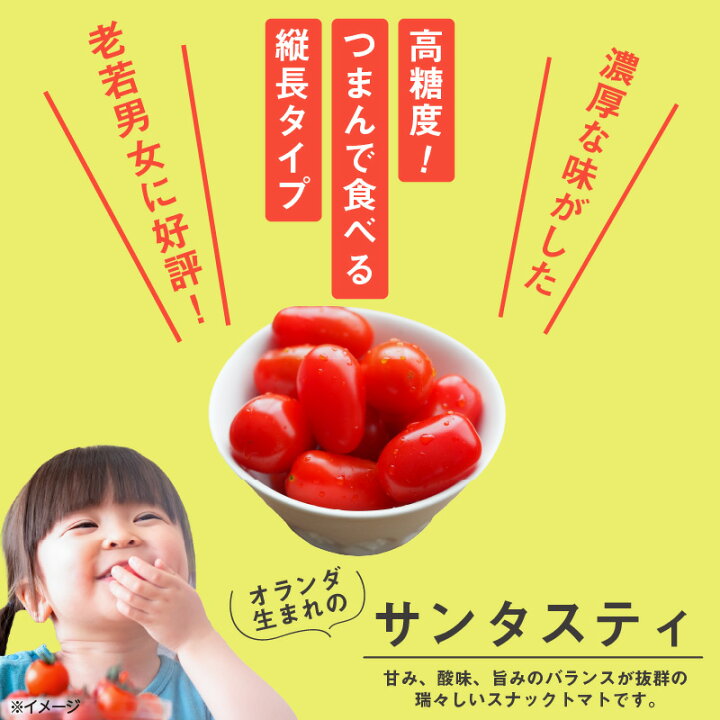 楽天市場】【ふるさと納税】【先行予約】【12月から順次発送 