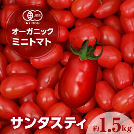 【ふるさと納税】オーガニックミニトマト サンタスティ【約1.5kg】【配送時期：2025年12月～2026年5月】高糖度 有機ミニトマト 面白い形 珍しい ミニトマト トマト プチトマト JAS 野菜 農作物 ヘタなし やみつき 有機野菜 春 旬 縦長 特産品 愛知県 送料無料