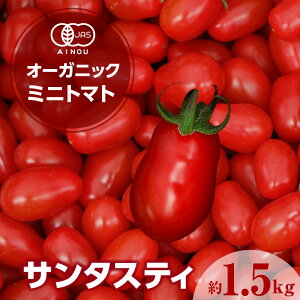 yӂ邳Ɣ[ŁzI[KjbN~jg}g T^XeBy1.5kgzyzF2025N12`2026N5zx L@~jg}g ʔ`  ~jg}g g}g v`g}g JAS  _앨 