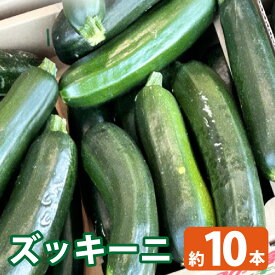 【ふるさと納税】ズッキーニ／ 野菜 やさい 果肉 ウリ科 栄養 送料無料 愛知県 特産品