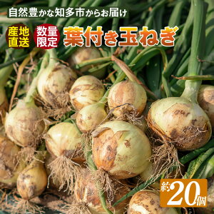 yӂ邳Ɣ[Łz_s\^yԌztt ʂ˂ yLTCYE20zt̕オ肢܂I ʌ̂ߖȂ莟IB  FN₩ Â ܂˂ l