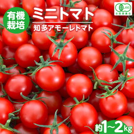 【ふるさと納税】有機栽培 ミニトマト 知多アモーレトマト【約1kg・約2kg】トマト プチトマト甘い 有機栽培 野菜 濃い 旨味 安心 栄養 リコピン 緑黄色野菜 愛知県 特産品 送料無料