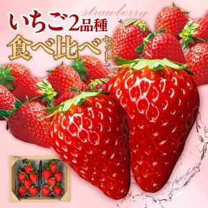 yӂ邳Ɣ[Łzss\t 2i Hה Zbgy\IF2026N3z  Ԍ   t[c n gق ͕P  Cׂ[ _ Ђ C`S ms 