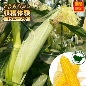 �y�ӂ邳�Ɣ[�Łz�_ ���Ԍ��� �^ �Ƃ����낱�����n�̌��y1�O���[�v���i10�l�܂Łj�z�������񂩂�̌��\������肢���܂��� ���W���[ �̌� �S�[���h���b�V�� ��� ���n�̌� �Ƃ����낱�� 