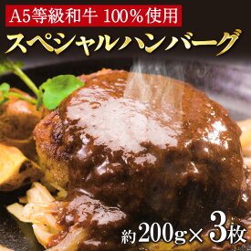 【ふるさと納税】A5等級和牛 100％ 肉や大善スペシャルハンバーグ 【約200g×3枚】 手作り 温めるだけ 牛肉100% 和牛 ハンバーグ A5等級 牛肉 スペシャルハンバーグ 国産 人気 和牛100% 高級 牛肉のみ使用 お取り寄せ 簡単調理 冷凍 送料無料