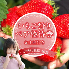 【ふるさと納税】いちご狩り優待券【ペア】お土産付 【利用期間：2026年5月13日から2026年5月31日】 章姫 苺 イベントチケット イチゴ農園 果物 フルーツ 子供 子供の体験チケット いちご狩り農園 愛知県【数量限定】