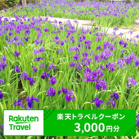 【ふるさと納税】愛知県知立市の対象施設で使える楽天トラベルクーポン 寄付額10,000円