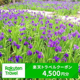 【ふるさと納税】愛知県知立市の対象施設で使える楽天トラベルクーポン 寄付額15,000円
