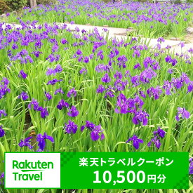 【ふるさと納税】愛知県知立市の対象施設で使える楽天トラベルクーポン 寄付額35,000円