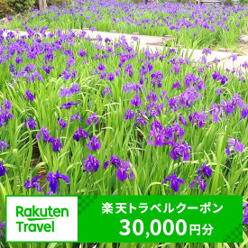 【ふるさと納税】愛知県知立市の対象施設で使える楽天トラベルクーポン 寄付額100,000円