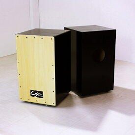 【ふるさと納税】カホン (スナッピー無、響線4本)　TCA-1 楽器 打楽器 パーカッション 音楽 木製 ストリート リズム楽器 ミュージック サウンド バンド 箱型 cajon ドラム 知立市 送料無料