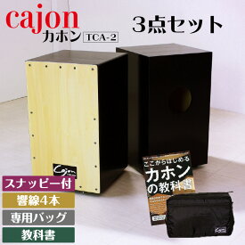 【ふるさと納税】 カホン 【 スナッピー付 ・ 響線4本 】【 バッグ・教則本の3点セット 】 【TCA-2（cajon-set）】 楽器 打楽器 パーカッション cajon 箱 専用バッグ付き フラメンコ 音楽 サウンド 木製 ミュージック 送料無料