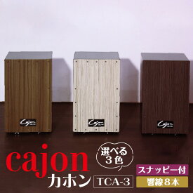 【ふるさと納税】 カホン 【 スナッピー付 ・ 響線8本 】【TCA-3】 楽器 打楽器 パーカッション cajon 箱 フラメンコ 音楽 サウンド 木製 ミュージック 送料無料