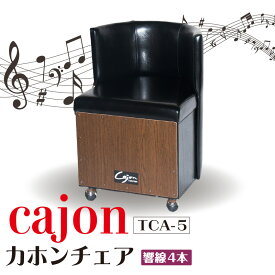 【ふるさと納税】 カホンチェア 【 TCA-5 】 cajon カホン サウンド 音楽 楽器 打楽器 合成皮革 椅子 パーティーの演出 パーカッション フラメンコ 送料無料