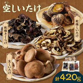 【ふるさと納税】空（テン）しいたけ【計420g】詰め合わせ セット 乾燥きくらげ ・ 乾燥しいたけ ・ 生しいたけ 肉厚 きのこ 生 乾燥 セット 秋 旬 乾物 国産 愛知県産 お取り寄せ グルメ 送料無料