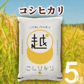【ふるさと納税】愛知県産 コシヒカリ 5kg 【 令和6年度産 】お米 米 精米 白米 こしひかり ブランド米 芳醇な香り 贈り物 贈答 ギフト プレゼント お土産 お取り寄せ 国産 生鮮食品 食品 おにぎり 寿司 シャリ 常温配送 送料無料