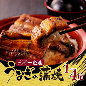 【ふるさと納税】三河一色産 うなぎの蒲焼 【尾数をお選びください（1～4尾）】 国産 鰻 蒲焼 炭火焼 秋 旬 炭火 たれ 白焼き うなぎ 惣菜 おつまみ ご飯のお供 おかず 絶品 贅沢 ギフト 贈り物 食品 冷凍 お取り寄せ お取り寄せグルメ 鰻 送料無料