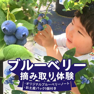 yӂ邳Ɣ[Łzu[x[ ό_ u[x[ 70 900{ Eݎ̌ ɂ킹 Hה A yYpbNt IWiu[x[m[g u[x[X