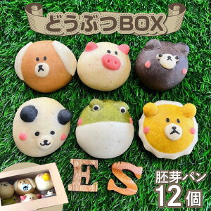 yӂ邳Ɣ[ŁzɂĖႤ ǂԂBOX p 12 Zbg  p 킢   Ȃ Ԃ ECi[   p_ `R JG N[`[Y CI 
