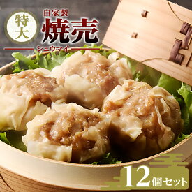 【ふるさと納税】自家製 焼売 12個 セット 特大 大粒 ジャンボ 手作り 海老 豚肉 玉ねぎ 野菜 加工品 中華 蒸し料理 真空パック おつまみ おかず 人気 食品 おすすめ グルメ お取り寄せ お取り寄せグルメ 送料無料