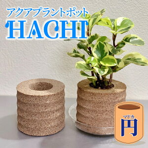 yӂ邳Ɣ[ŁzANAvg|bgHACHIu~(}hJ)vy3F炨Iтz