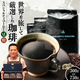 【ふるさと納税】ローストマスター 焙煎 おすすめ 厳選 世界の スペシャルティ コーヒー 3種類 詰め合わせ【内容量選択：100g×3袋《計300g》 or 250g×3袋《計750g》】【挽き方をお選びいただけます】珈琲豆 挽き方 豆 粗挽き 中挽き 細挽き エスプレッソ 自家焙煎
