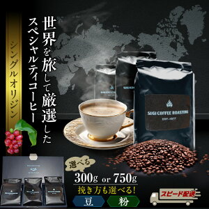 yӂ邳Ɣ[Łz[Xg}X^[   I E XyVeB R[q[ 3 yeʑIF100g×3܁sv300gt or 250g×3܁sv750gtzy҂Iт܂z