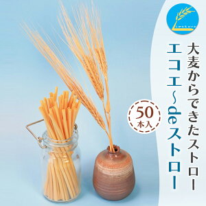 yӂ邳Ɣ[Łz唞łXg[uGRG`deXg[vbRf GVJ SDGs GR Xg[  [0751]